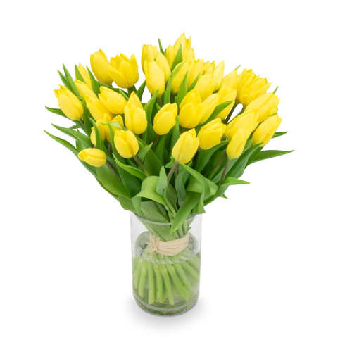 Bouquet of tulips